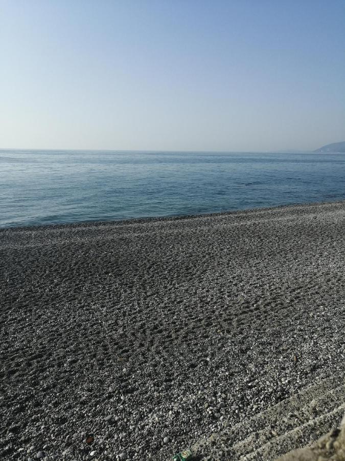 Bon Amour Gagra Bagian luar foto